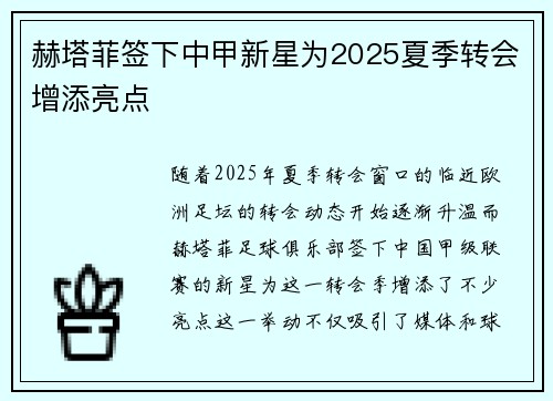 赫塔菲签下中甲新星为2025夏季转会增添亮点